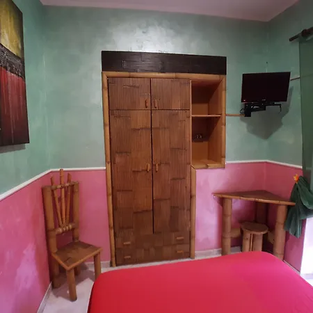 지네브라 나폴리